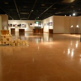 2007年度修士研究展の画像