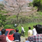 ３回生　シビックデザインコースの画像